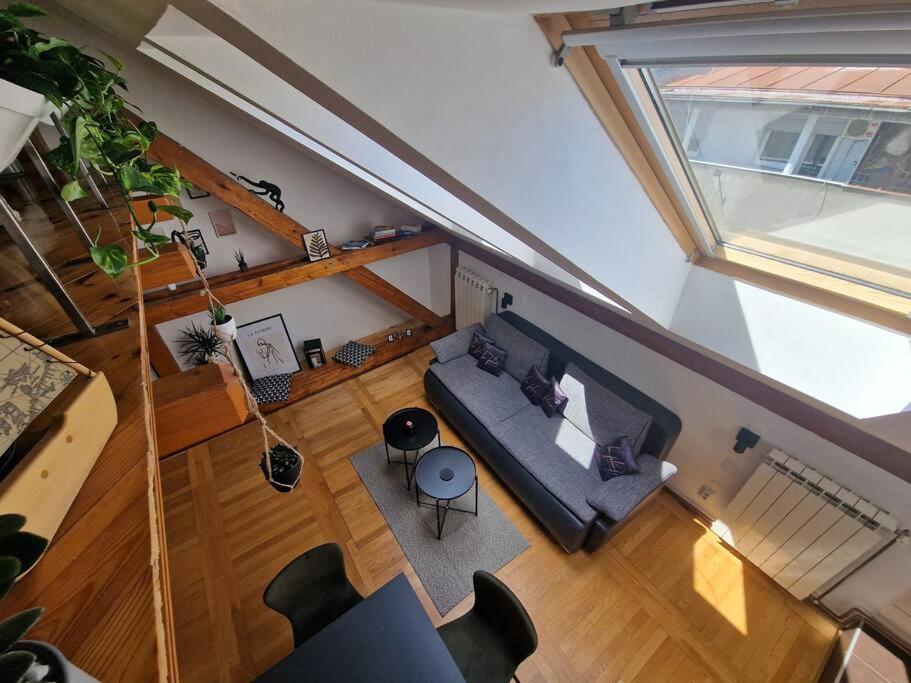Captain Misha's Place Belgrad