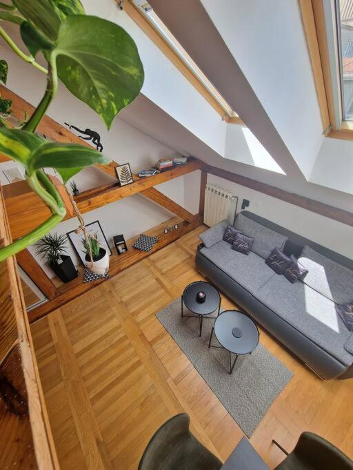 Апартаменты Captain Misha's Place Белград